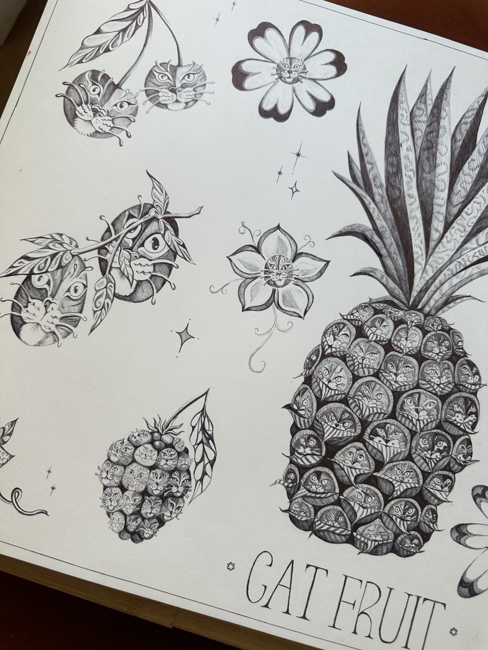 Cat & Fruit — view 2